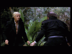 doc0344.gif